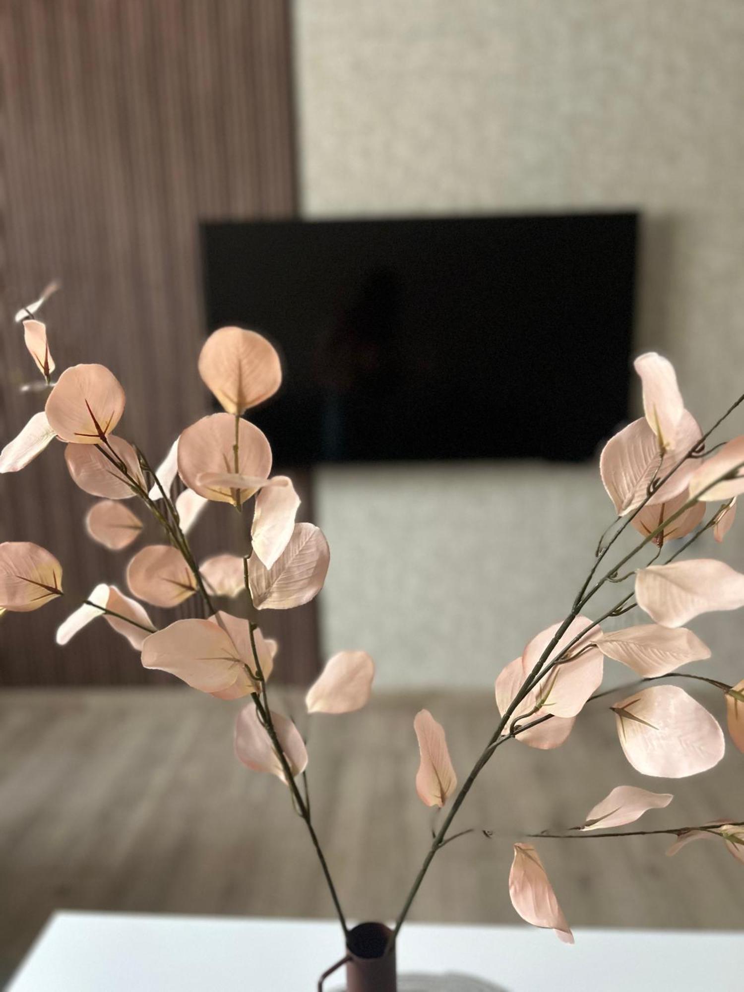 Apartman Tara Subotica Ngoại thất bức ảnh